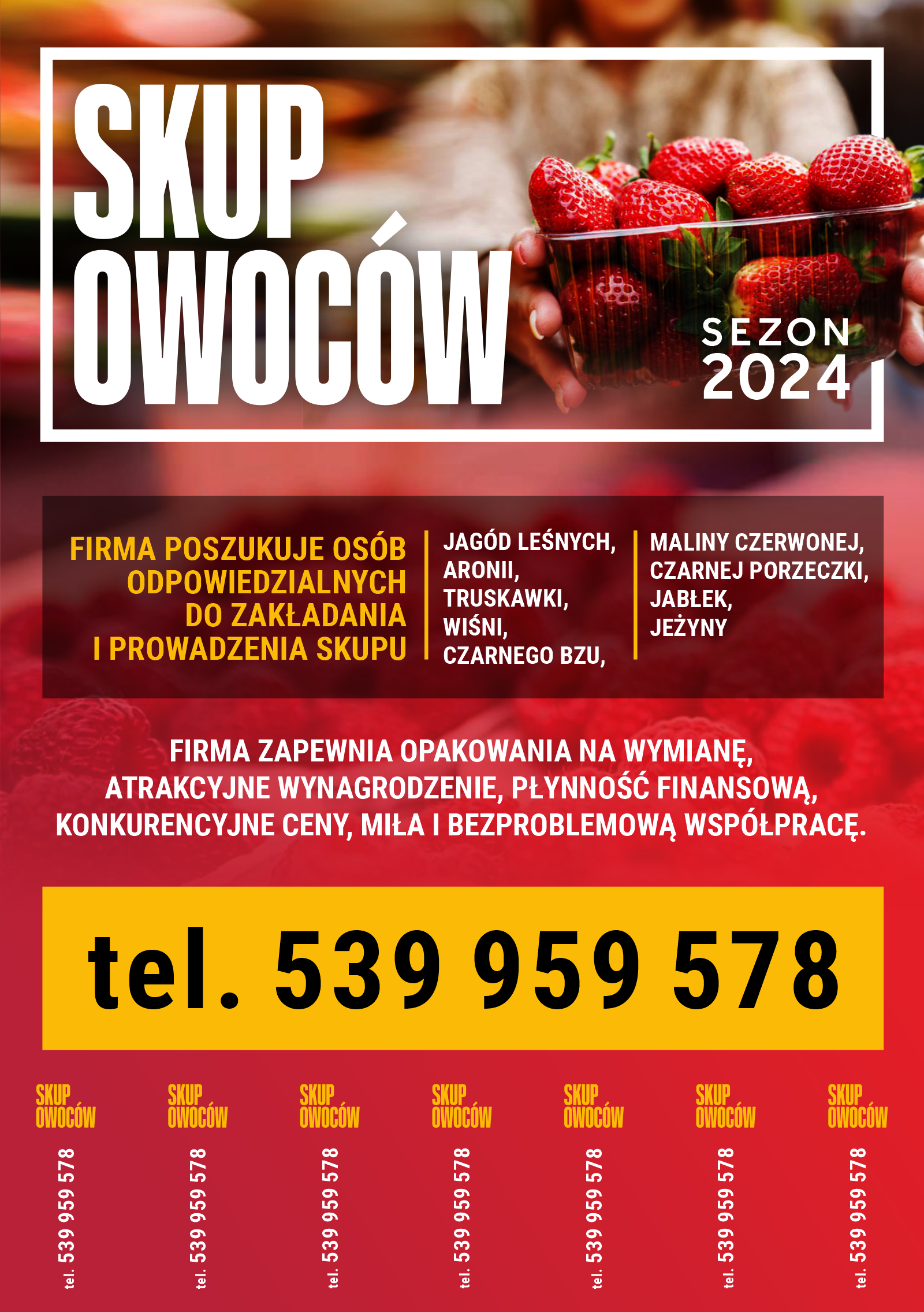 SKUP_OWOCÓW_SAJEWSKI_SEZON2024